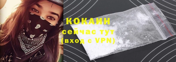 бошки Белокуриха