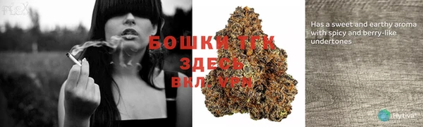 бошки Белокуриха