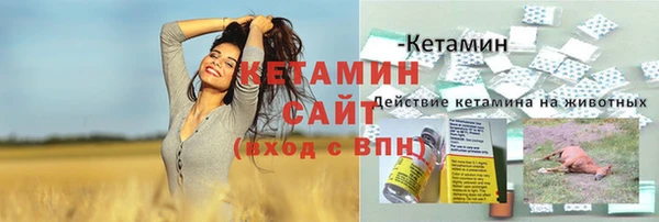 бошки Белокуриха
