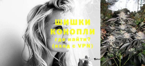 бошки Белокуриха
