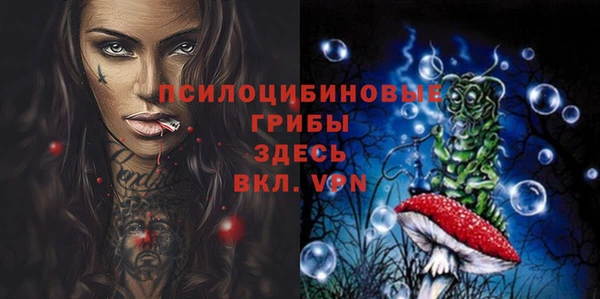 бошки Белокуриха