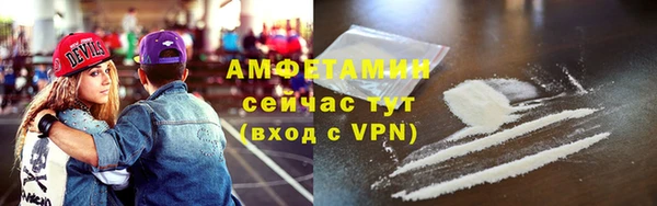 PSILOCYBIN Богданович
