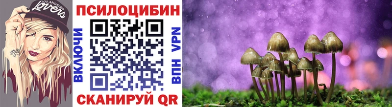 Галлюциногенные грибы прущие грибы  KRAKEN зеркало  Енисейск  где можно купить  